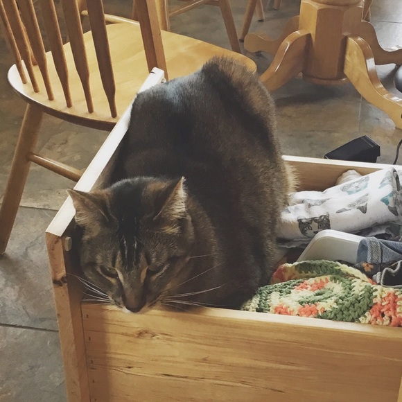 I learn so much checking out other closets! - Picture 8 of 16